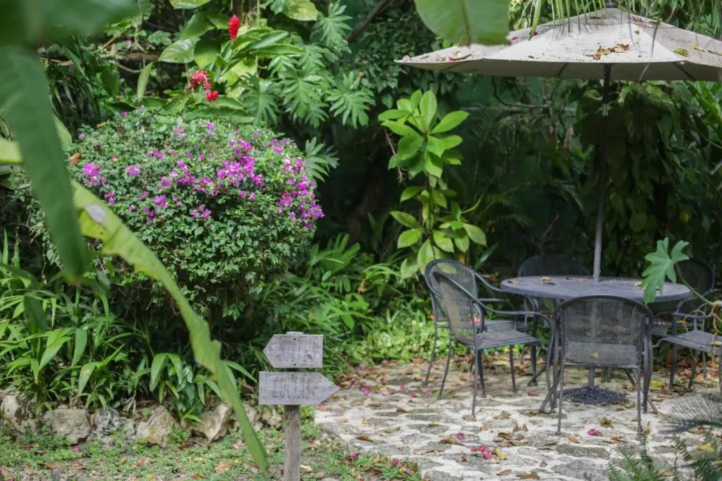Bego´s Lagoon House. Free kayaks and bikes