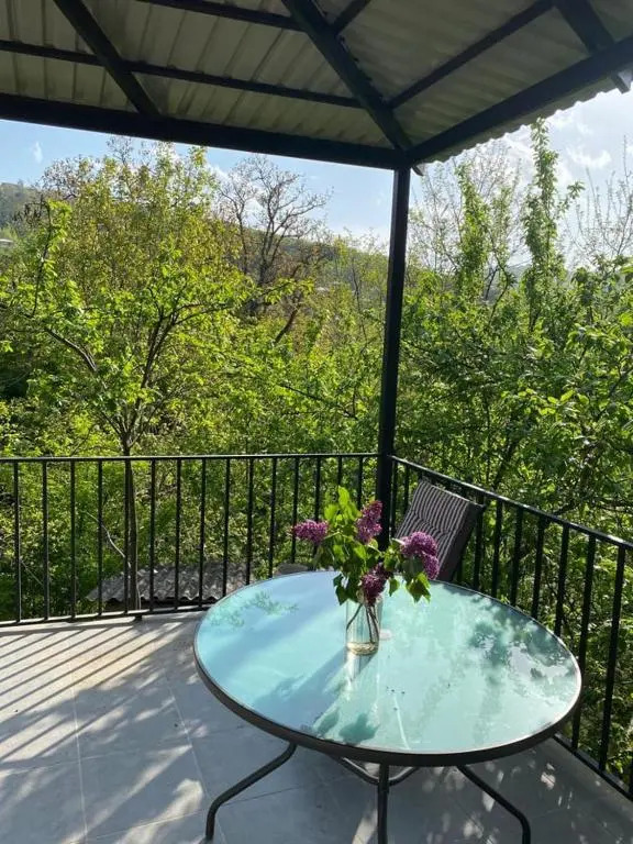 Guest house Sarajishvilze