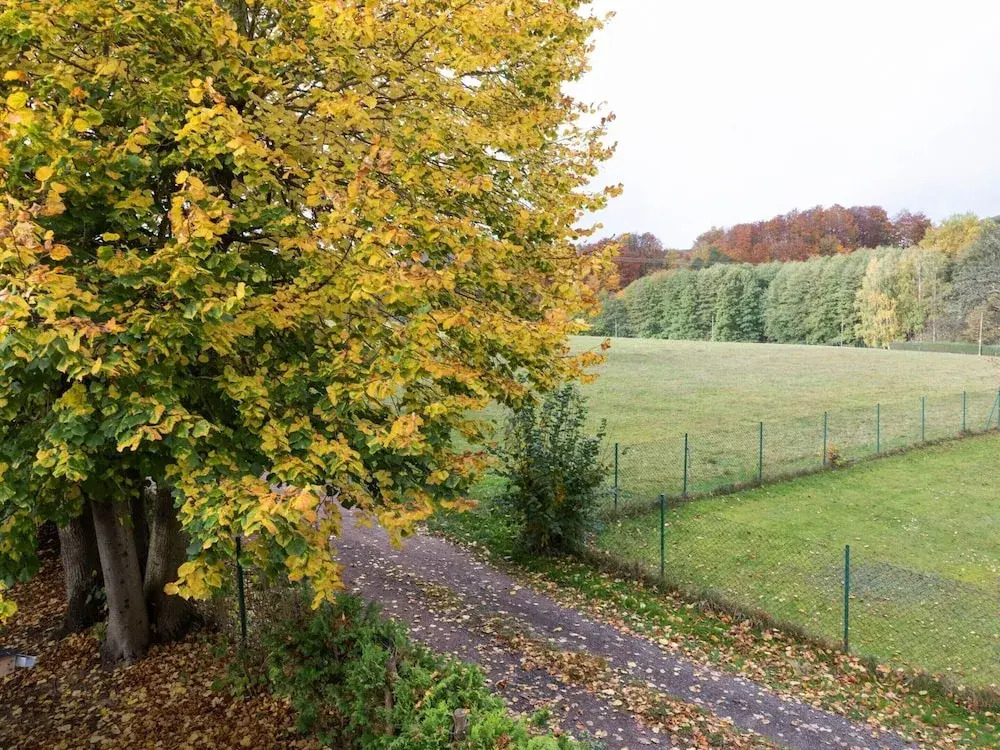 Ferienhaus im Thuringer Wald