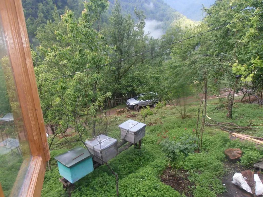 Villa Tengiz