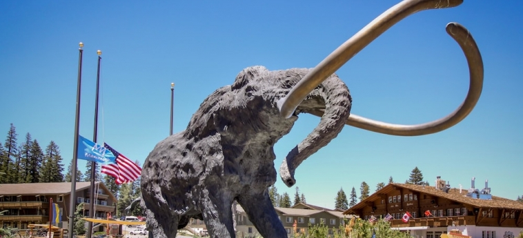 Mammoth Green 101