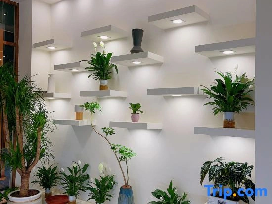 Lu'er Preferred Apartment (Chenqiao Branch)