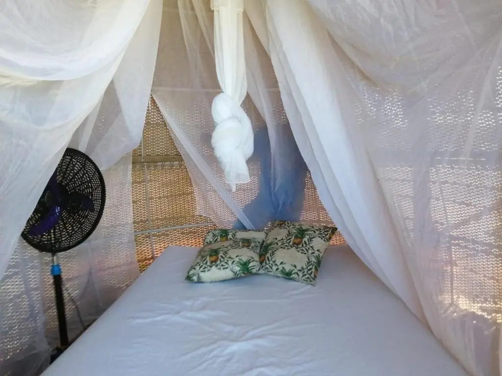 Glamping UVA Playa