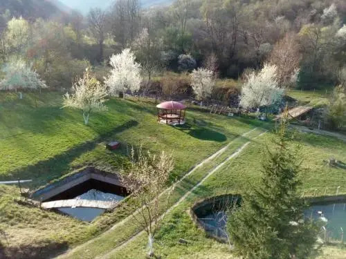 Bungalows Zdravets