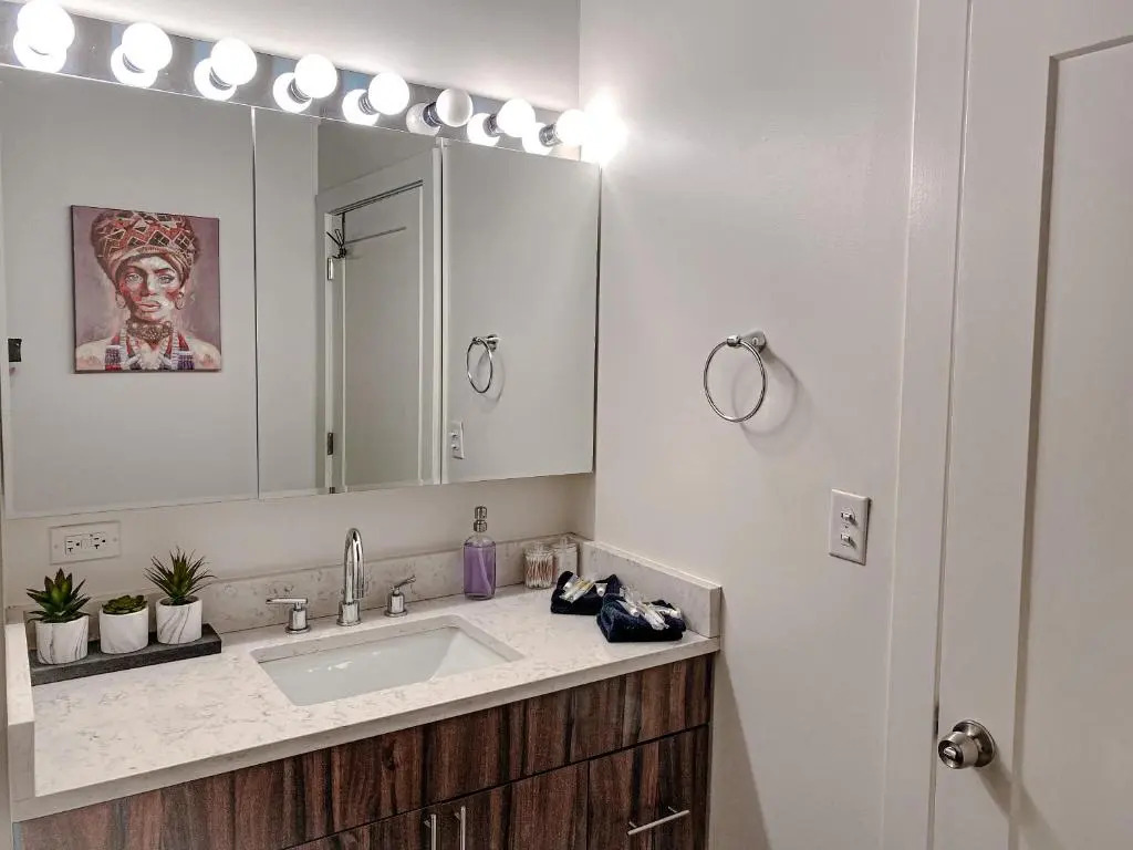 Spacious and Luxurious 3br/2ba near McCormick Place with optional parking