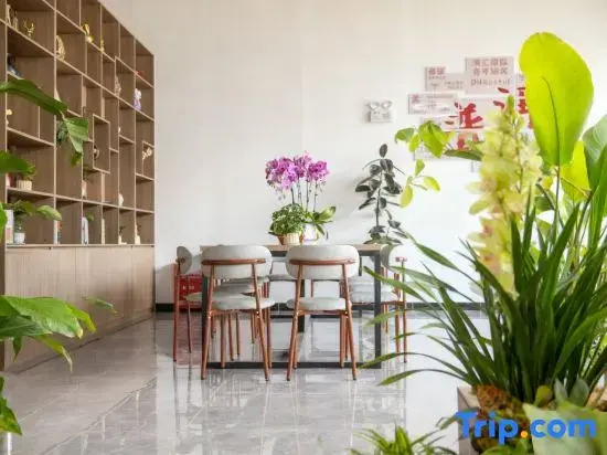 Dianhui International Youth Hostel