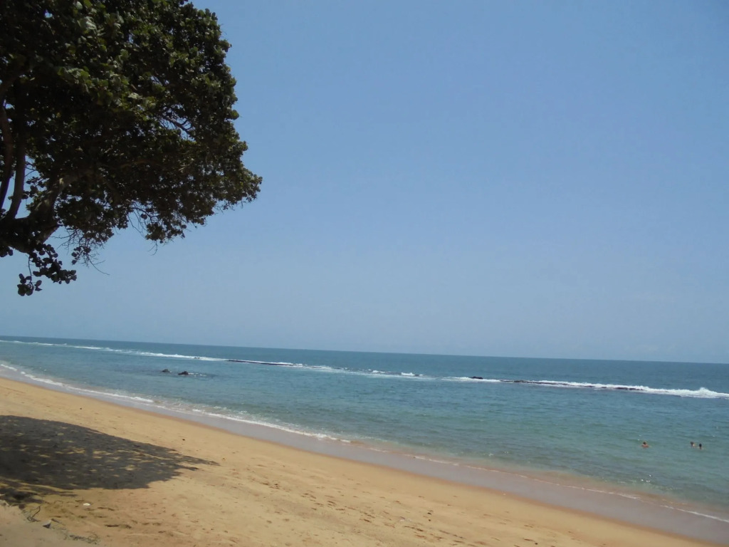 New Robinson Plage