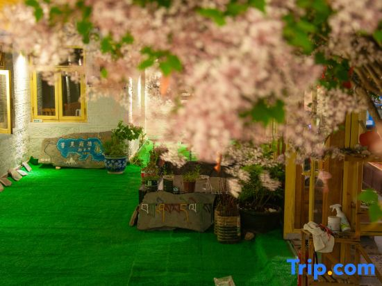 Lhasa Cangwu Homestay