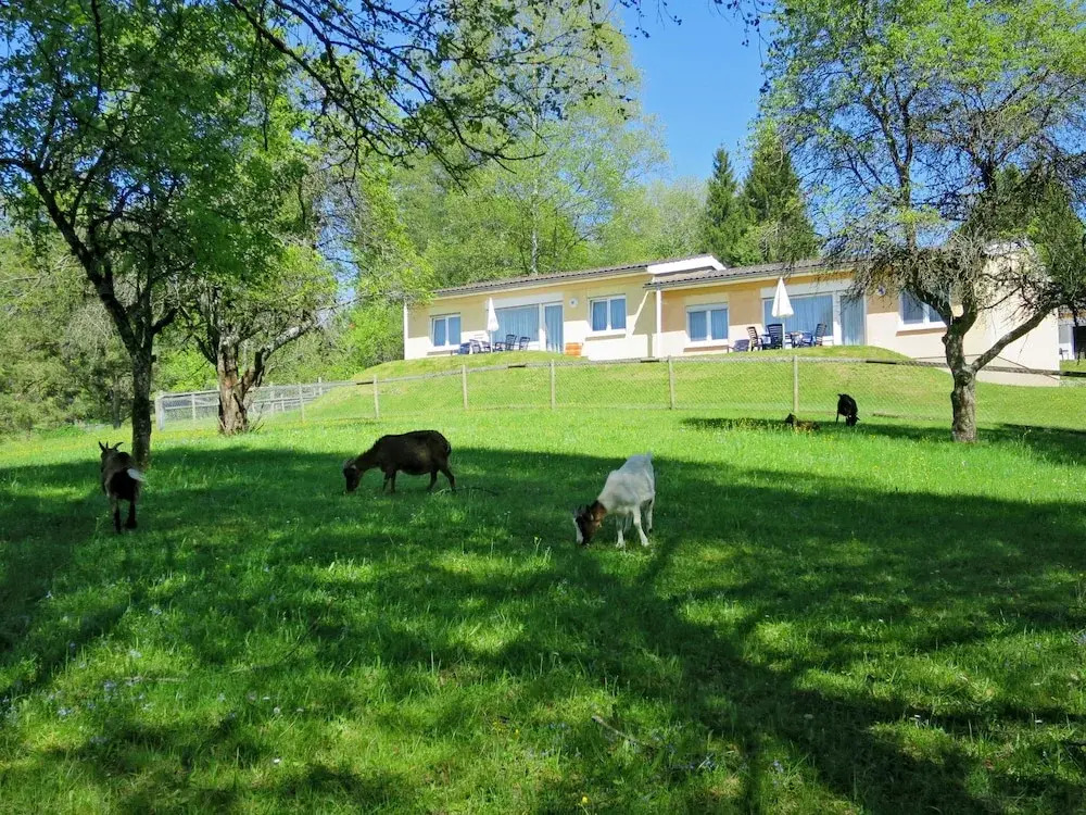 Ferienclub Maierhöfen