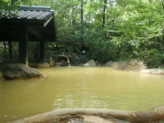 Ryokan Shinseikan