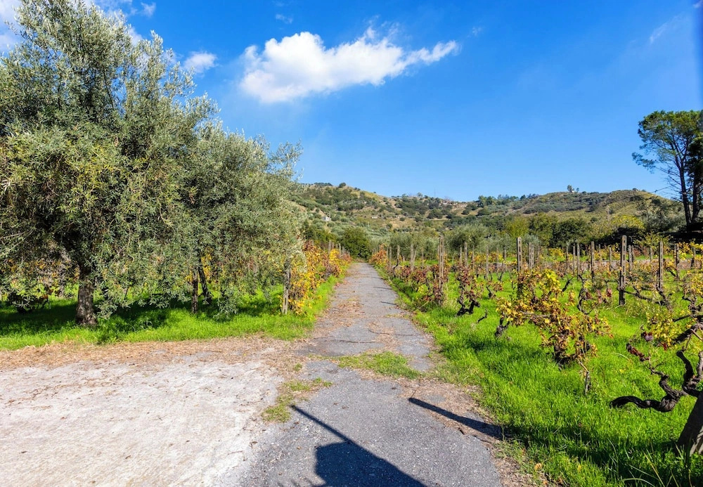 Vigna DellEtna