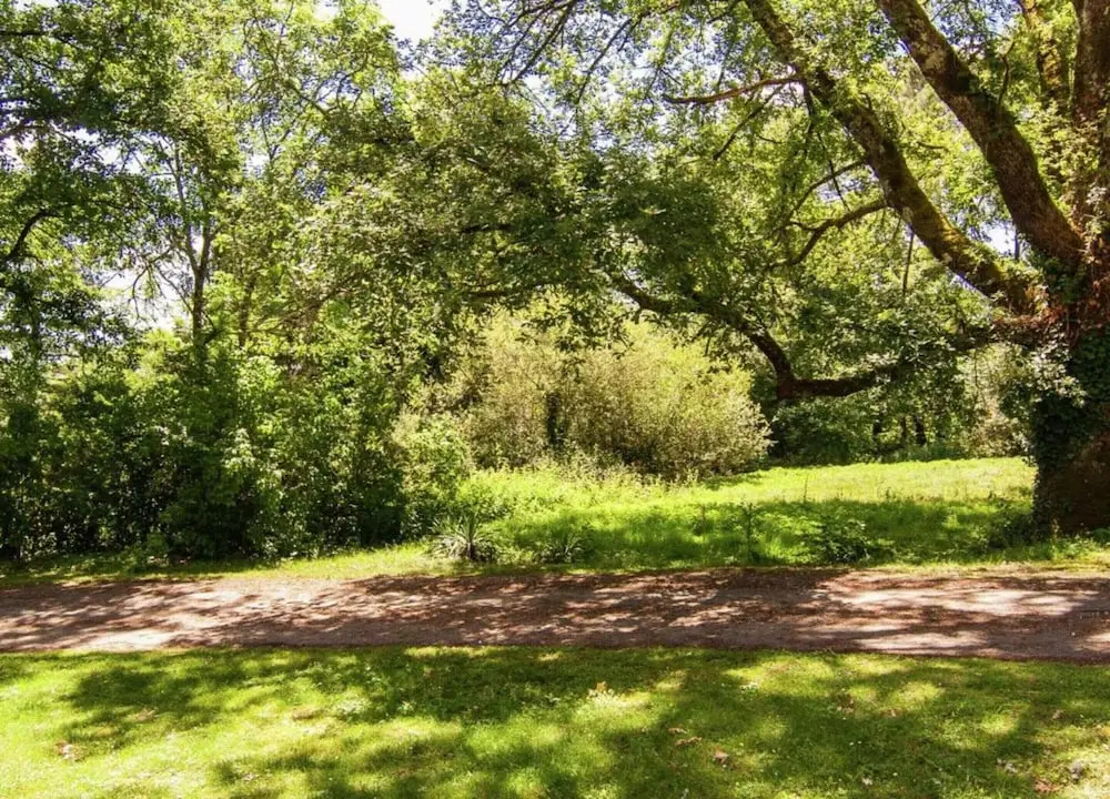 Holiday Home Le Fournil in Manhay With Garden