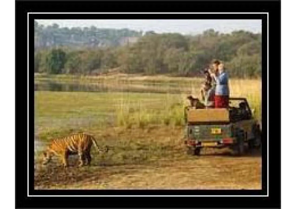 Ranthambhore Vatika Resort