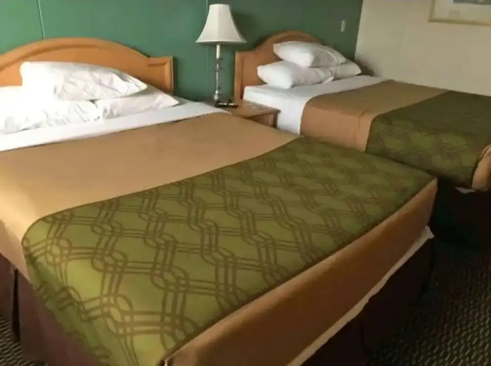 Warrior INN