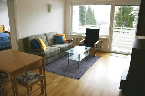 Apartment Ambiente