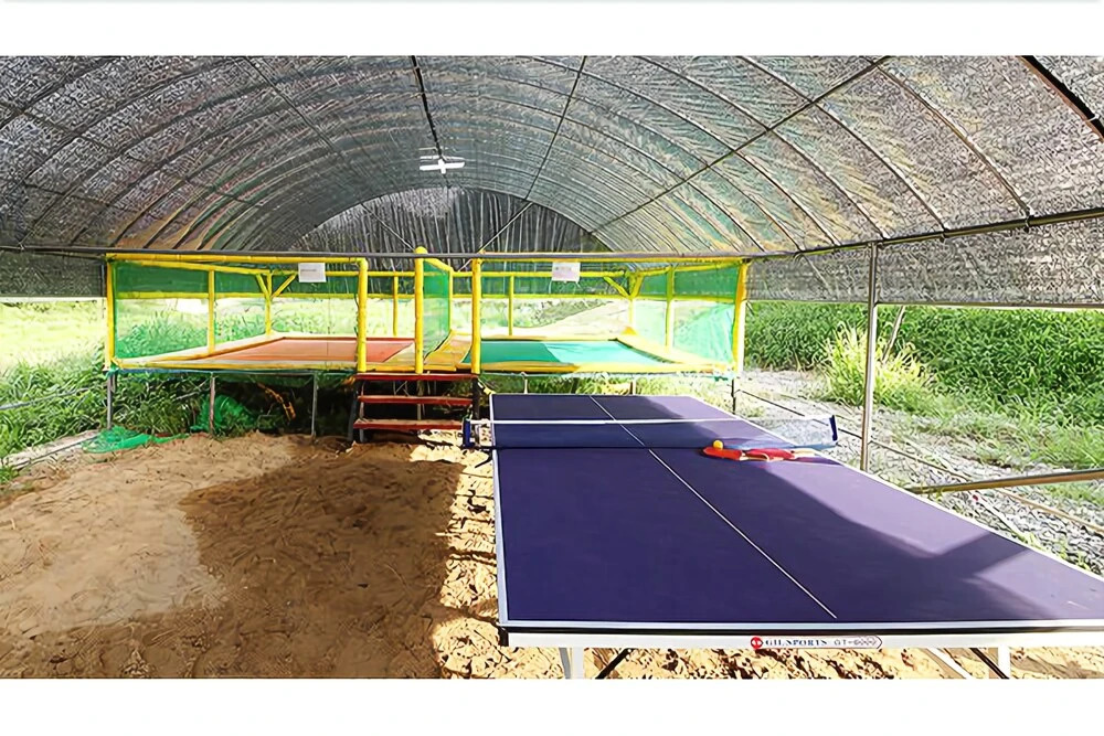 Gapyeong Seraphim Glamping