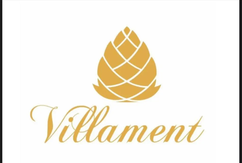 Villament Zinc Journey by The Fern
