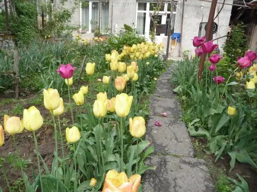 Your Home In Akhaltsikhe
