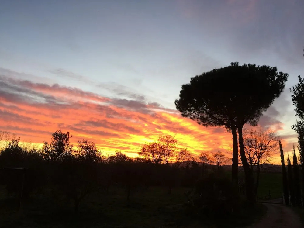 Agricola I Profumi Dell'Orto