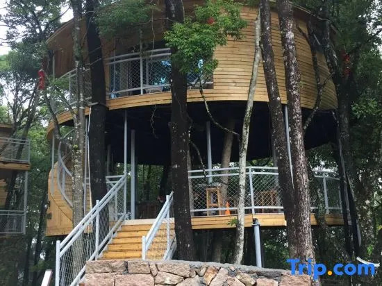 Yinxin'gu Treehouse Hotel