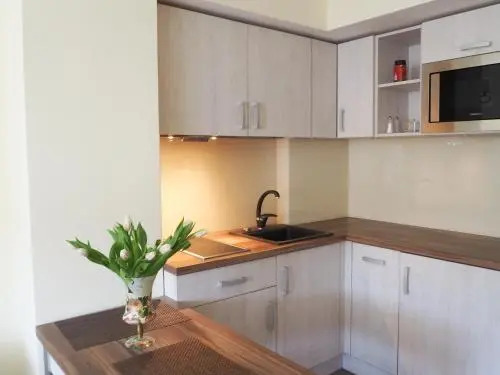 Apartament na Polnej