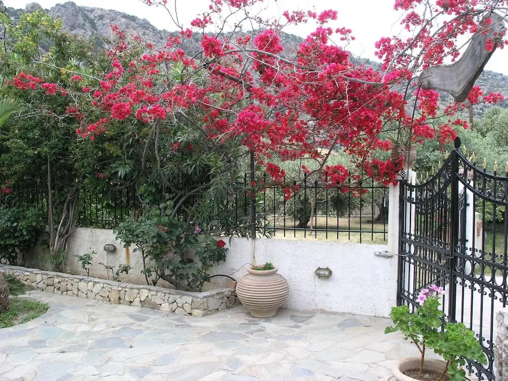 Olive Tree Cottages
