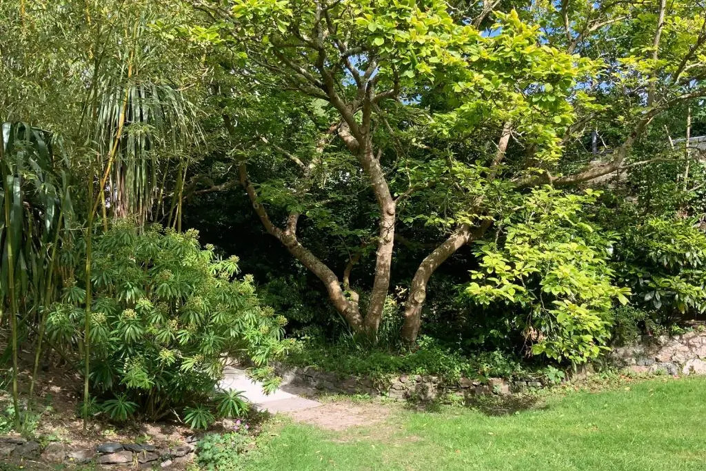 Rosevean House