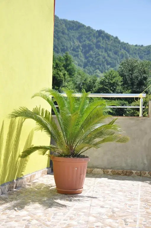 Akhmed Guest House