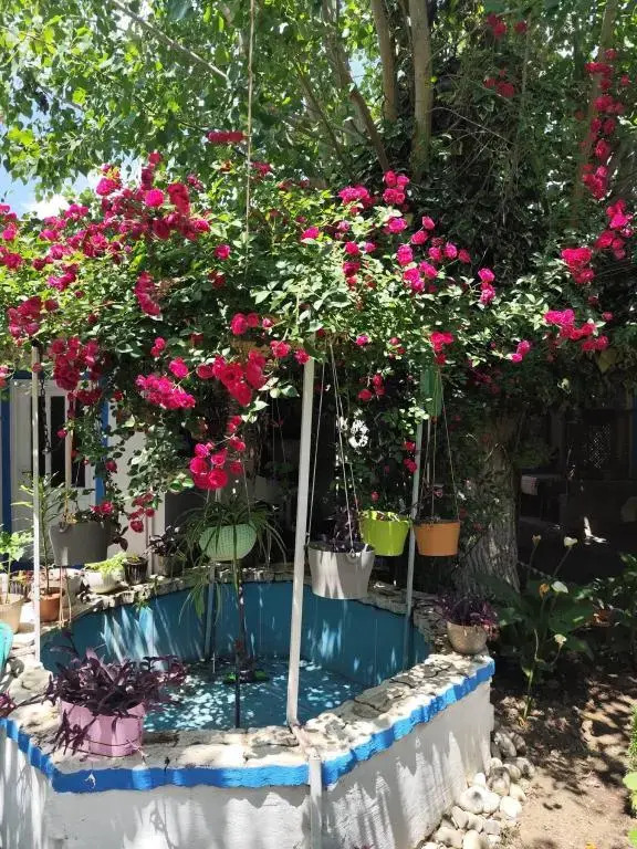 Hancı Pansiyon