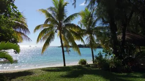 Coconuts