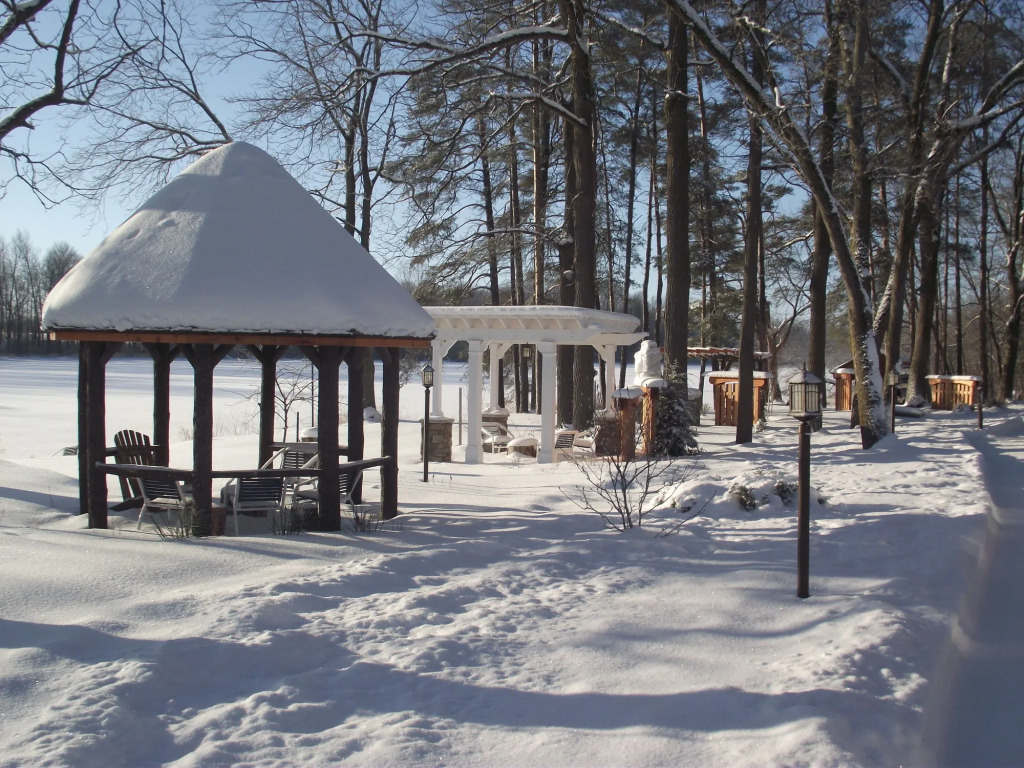 Forest Motel & Woodland Retreat