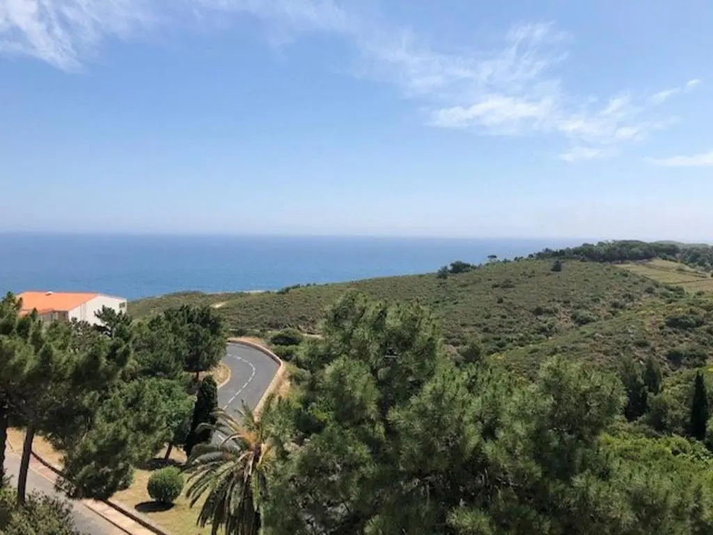 Appartement Banyuls-sur-Mer, 2 pièces, 4 personnes - FR-1-225C-79