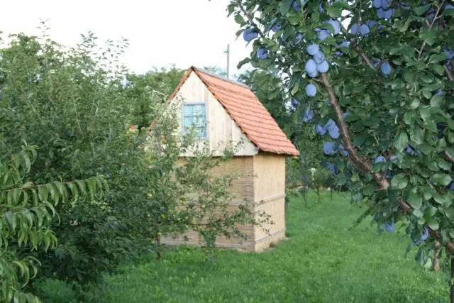 Seoski Turiziam Larva