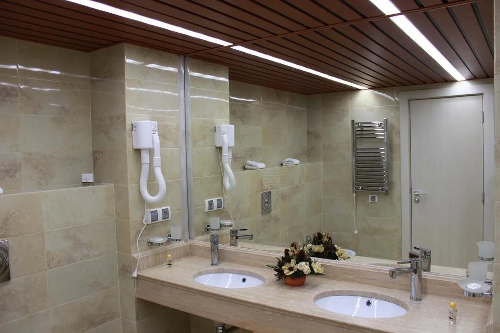 Hotel Svilena