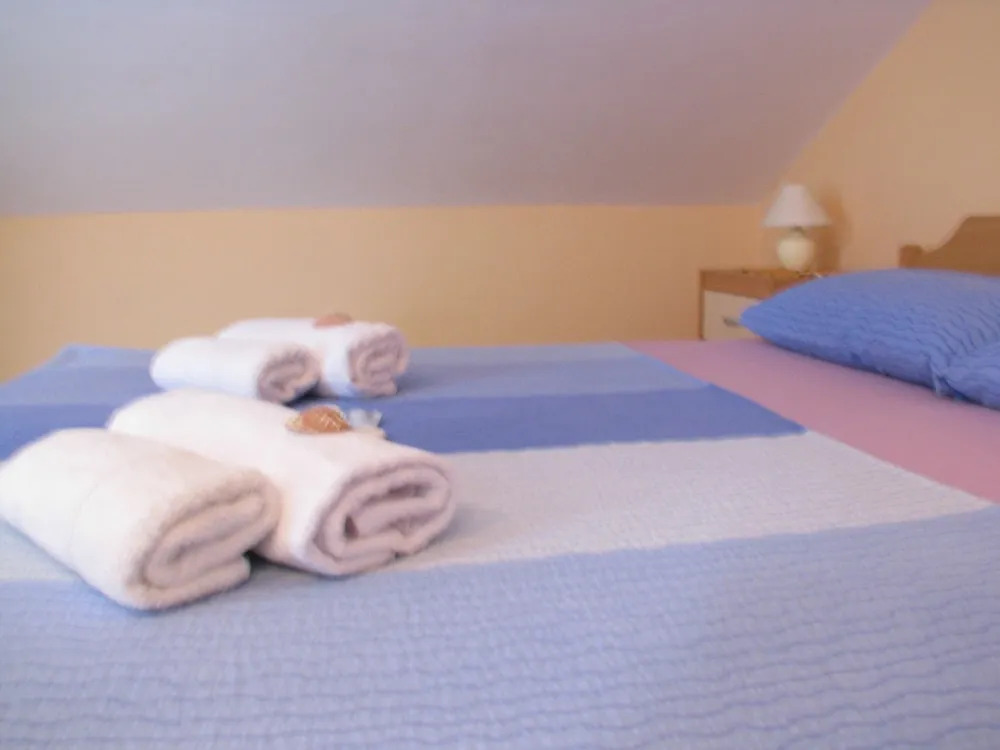 Apartments Srkoc