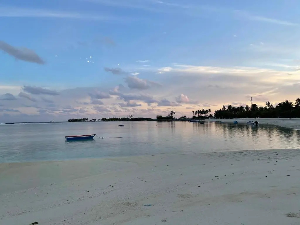 La Isla Tropica