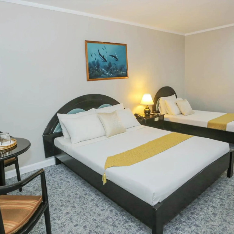 Holiday Plaza Hotel - Cebu