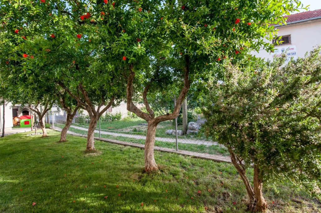 Apartman Sofija