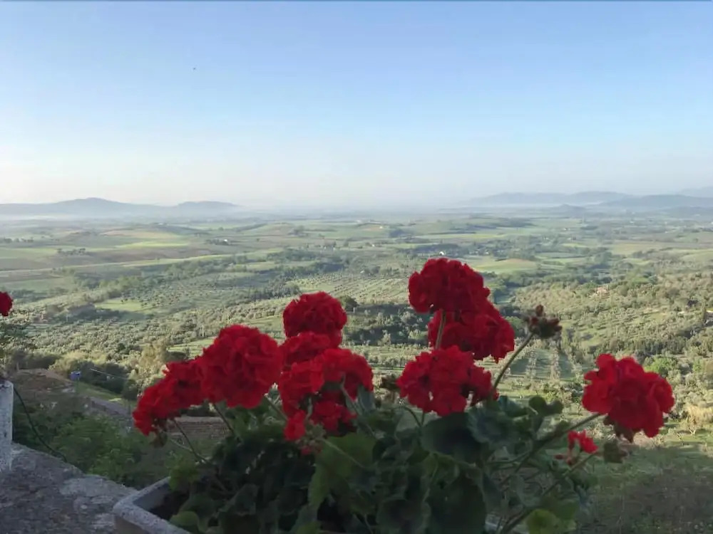 Tenuta di Montemassi Fattoria