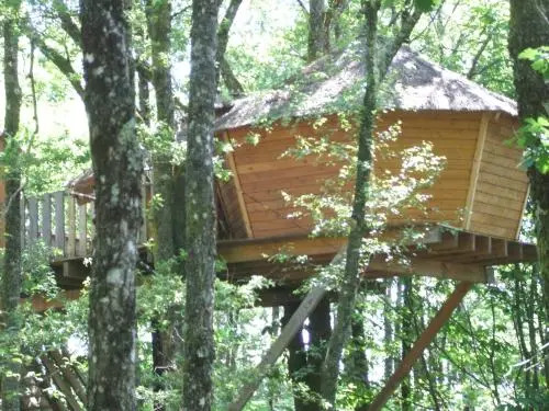 Les Cabanes Silvae