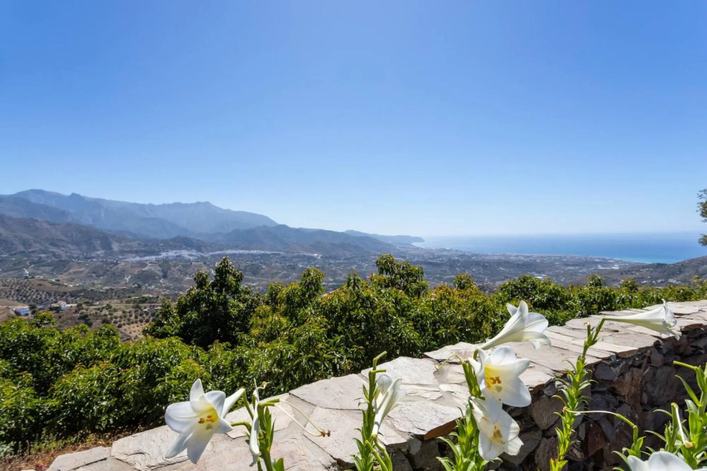 Villa Mediterraneo
