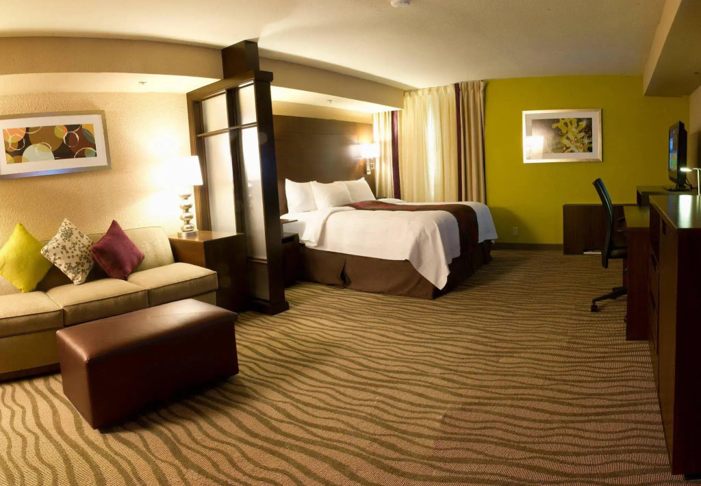 Fairfield Inn & Suites by Marriott Dallas DFW Airport South/Irving