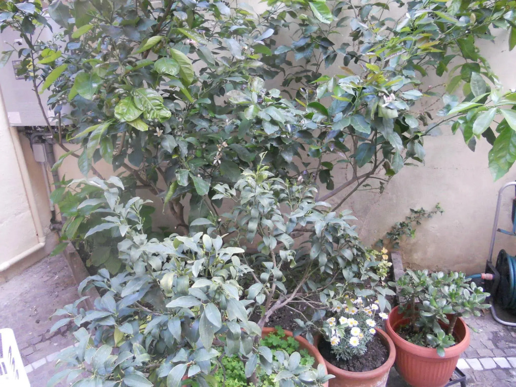 Casa Acquario Oceano