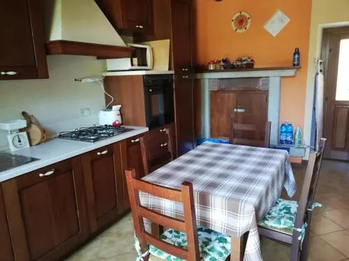 B&B Campino