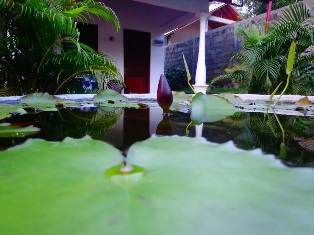 Lal Home Stay
