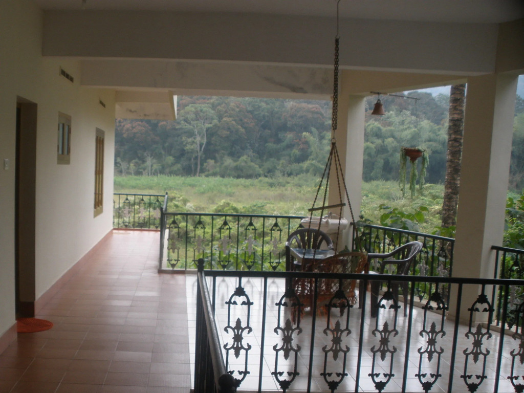 Jungle Palace Homestay