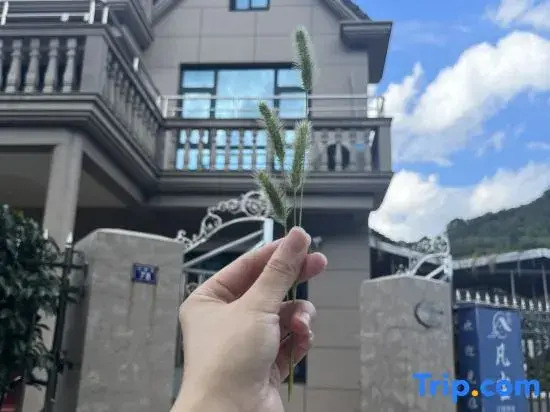 Xiangshan Fancheng Homestay