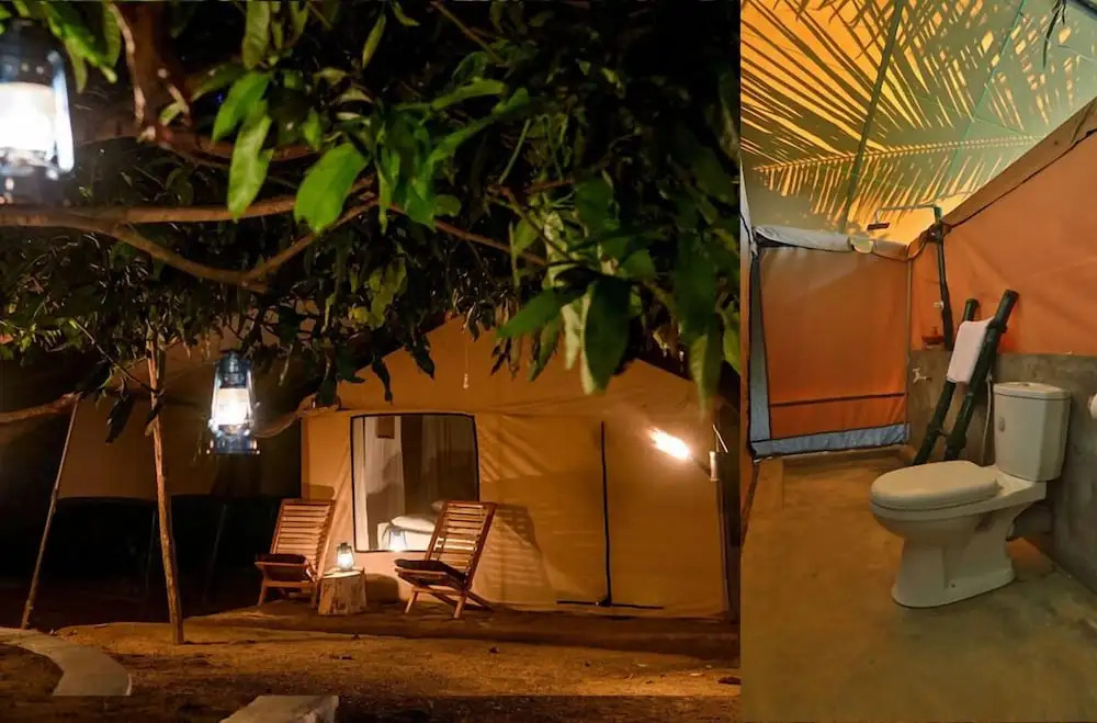 Camp Hasthi