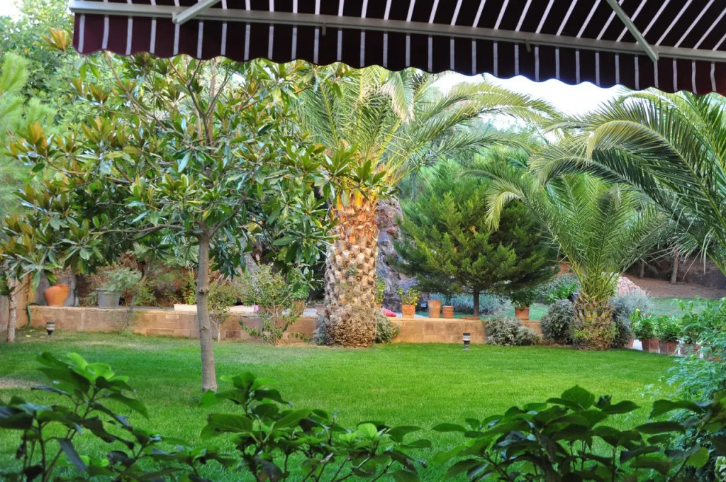 Palm Court Suites