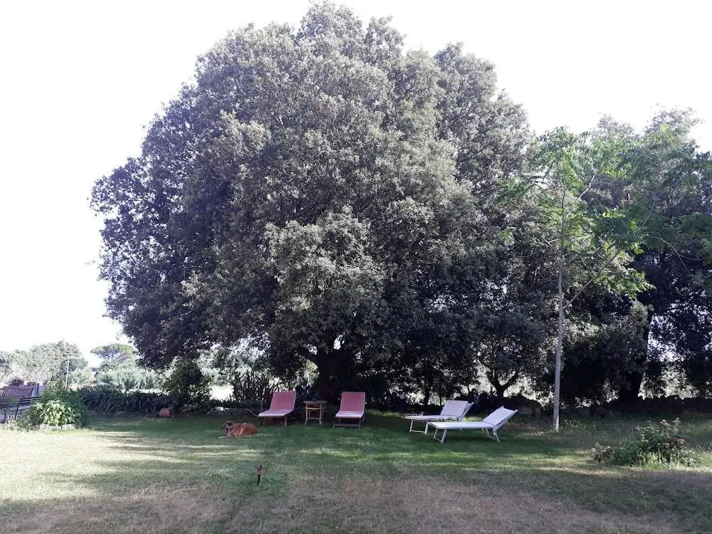 Tenuta Argiano